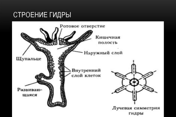 Кракен даркнет форум